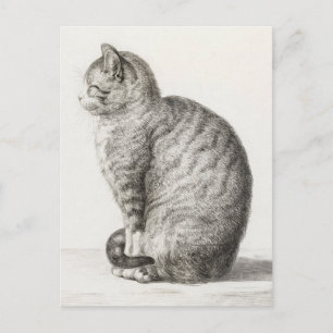 Cute Cat Sketch Jean-Bernard Duvivier Postcard