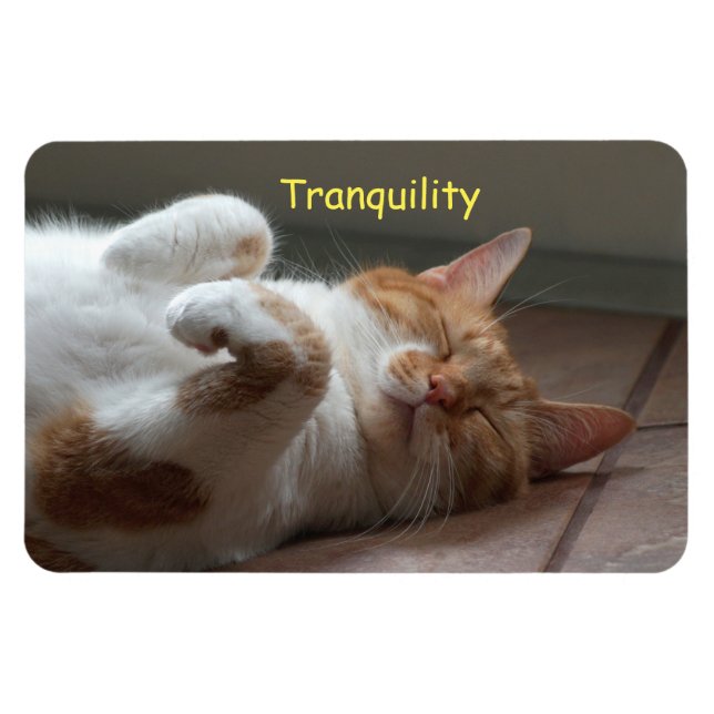 Cute Cat Sleeping Flexible Magnet (Horizontal)