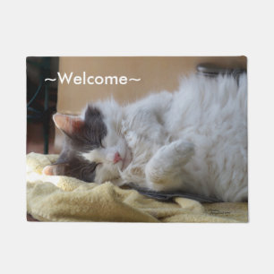 Cute cat sleeping Spiegeland Welcome Doormat