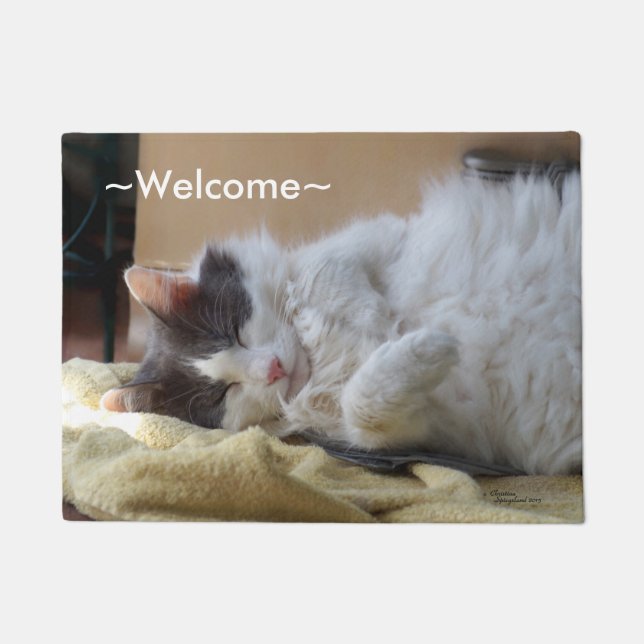 Cute cat sleeping Spiegeland Welcome Doormat (Front)
