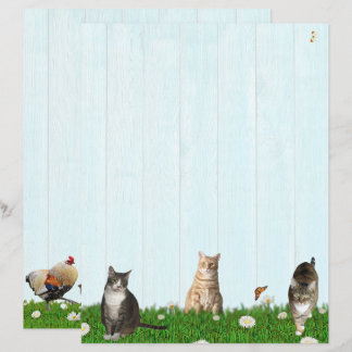 Cute Cat Stationery - Added chickens on Back