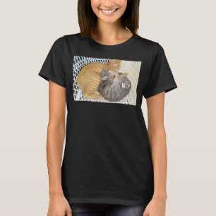 Cute Cat stuff for Cat girls women men kids boys T-Shirt