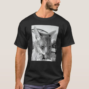Cute Cat stuff for Cat  girls women men kids boys  T-Shirt