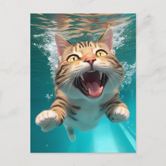 Cute Cat Swimming Diving Underwater in Pool Funny Postcard (Front)