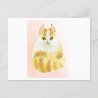 Cute cat watercolor postcard