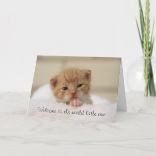 Cute Cat Welcome to the world baby greeting card