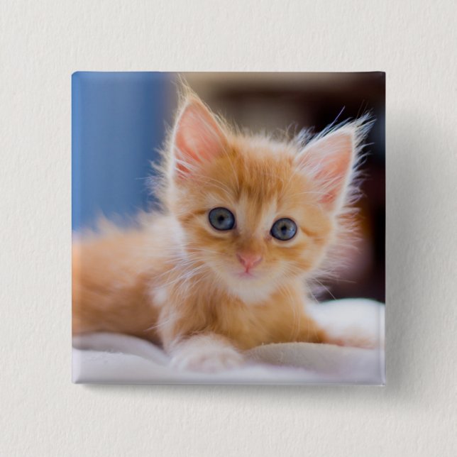 Cute Cat With Blue Eyes 15 Cm Square Badge (Front)