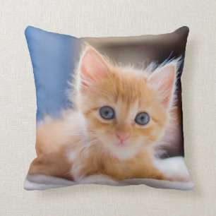 Cute Cat With Blue Eyes Cushion