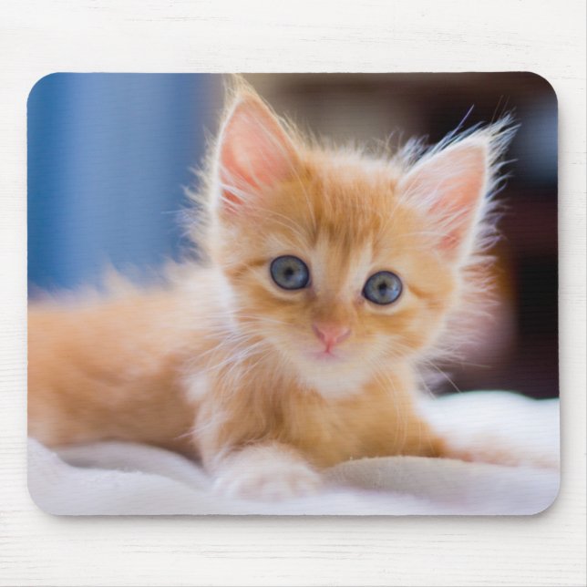 Cute Cat With Blue Eyes Mouse Pad (Front)