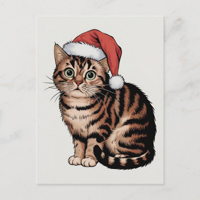 Cute cat with christmas hat holiday postcard (Front)