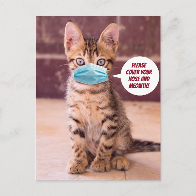 Cute Cat With Mask - Please Cover Your Meowth! Postcard (Front)