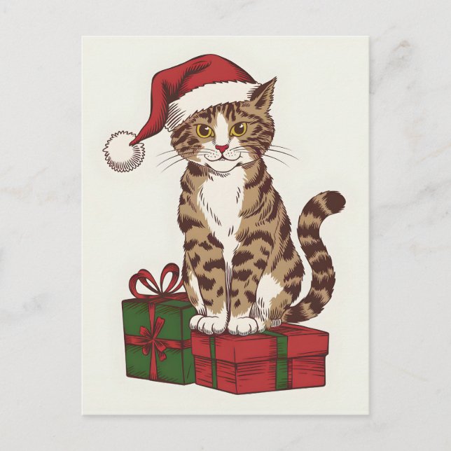 Cute cat with santa claus's hat with present  holiday postcard (Front)