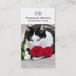 Cute cat with the red rose business card