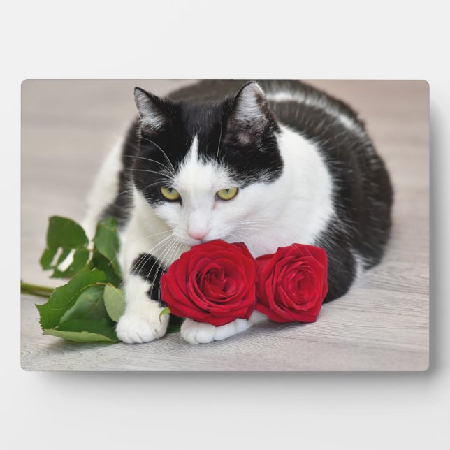 Cute cat with the red rose plaque (Front)