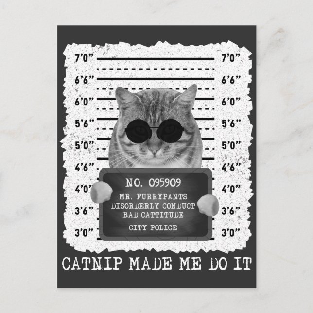 Cute Catnip Made Me Do It Cat Mugshot Postcard (Front)