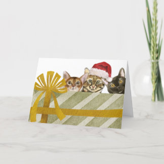 Cute Cats and Christmas Package Holiday Card