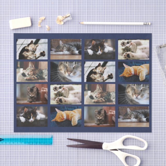 Cute Cats and Kittens Photo Template on Navy Blue Tissue Paper (Craft)