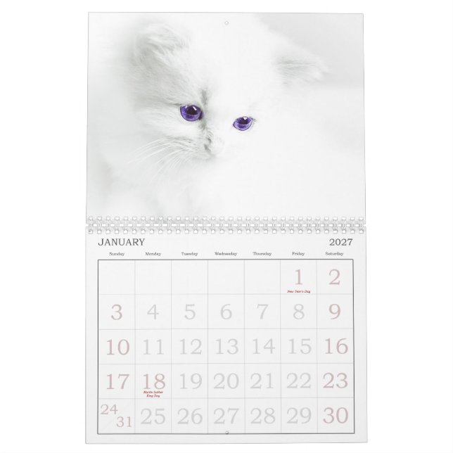 Cute Cats Calendar (Jan 2027)