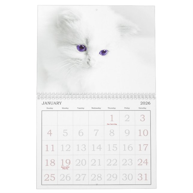 Cute Cats Calendar (Jan 2026)