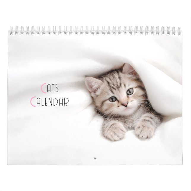 Cute Cats Calendar (Cover)