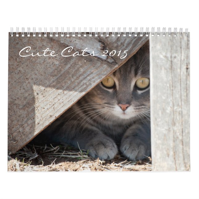 Cute Cats Calendar (Cover)