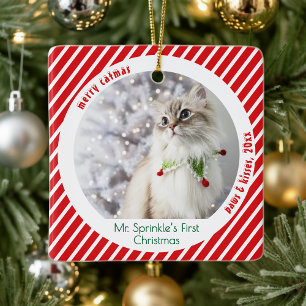 Cute Cats First Christmas Festive Keepsake  Ceramic Ornament