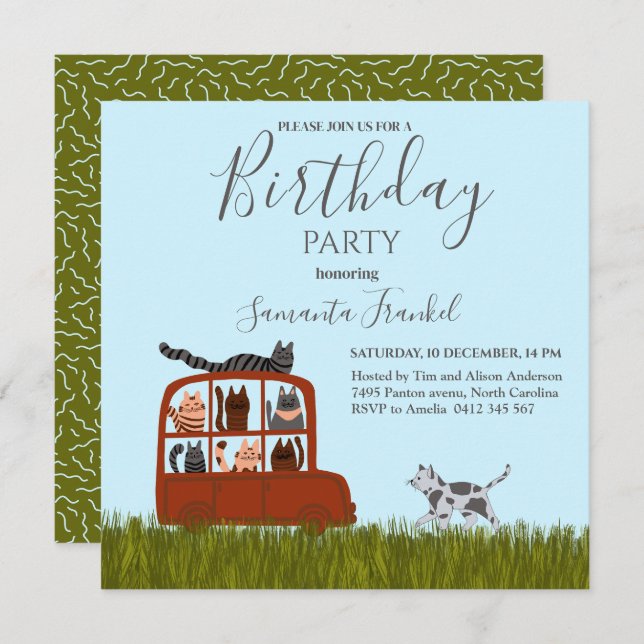 Cute Cats in car Baby Shower Invitation (Front/Back)