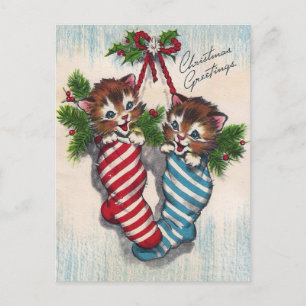 Cute Cats in Crhistmas Socks Postcard