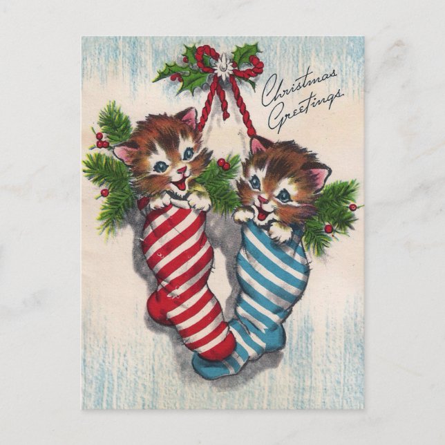 Cute Cats in Crhistmas Socks Postcard (Front)