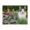 Cute Cats in Flower Garden / Collage Art