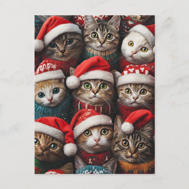 Cute Cats in Santa Hats Christmas Holiday Pets Postcard (Front)