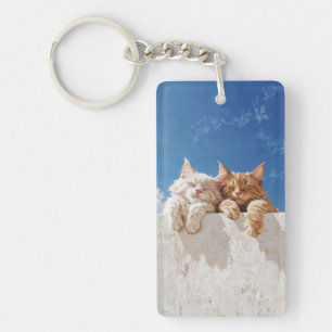 Cute Cats Key Ring