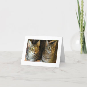 Cute Cats Photo Tabby Kitties  Thank You Card