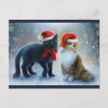 Cute Cats Postcard<br><div class="desc">Too festive cat's ready for winter snow background with Santa hats and scarf.</div>