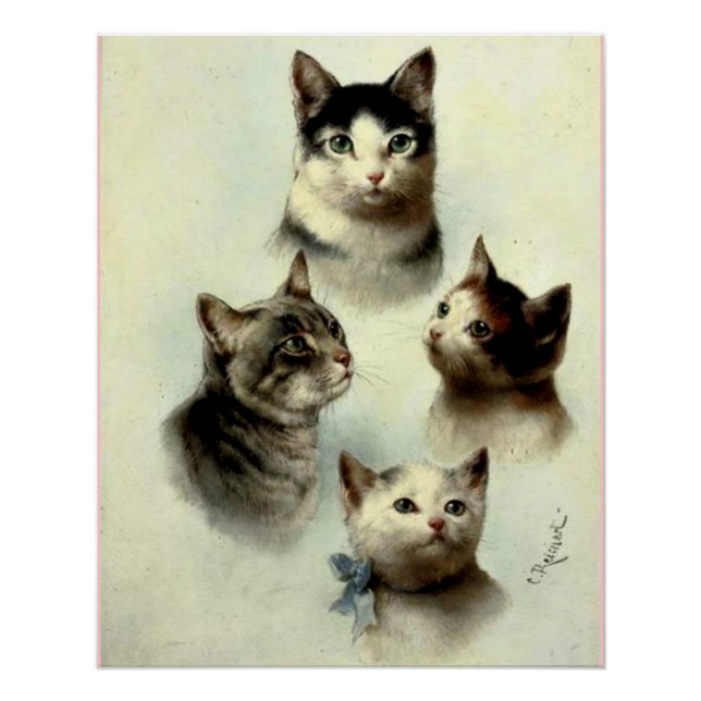 Cute Cats Poster (Front)
