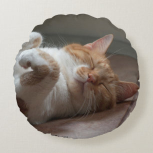 Cute Cats sleeping Round Throw Pillow