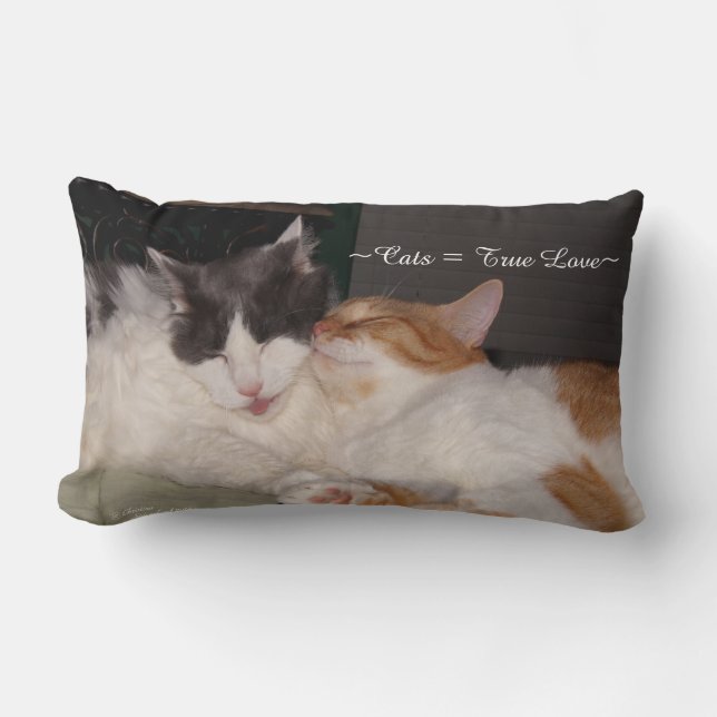 Cute Cats sleeping True Love Pillow (Front)