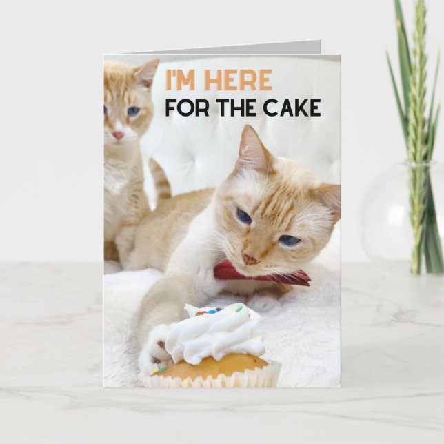 Cute Cats Stealing Cupcake Birthday Greeting Card (Front)