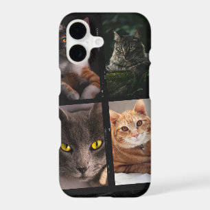 cute cats three photo Pets