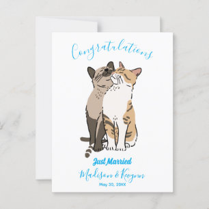 Cute Cats Wedding Postcard