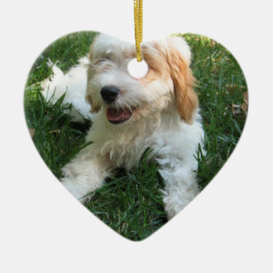 CUTE CAVAPOO PUPPY CERAMIC TREE DECORATION