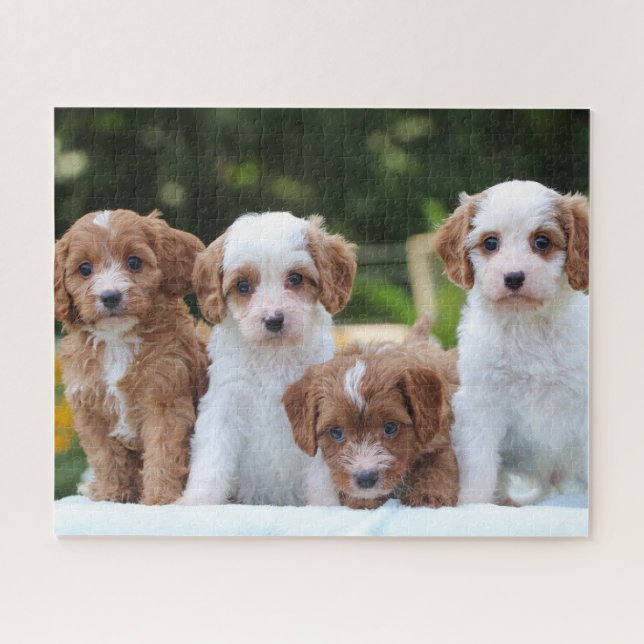 Cute Cavapoo Puppy Dogs Jigsaw Puzzle (Horizontal)