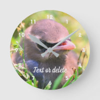 Cute Cedar Waxwing Fledgling Bird Personalized