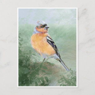 Cute Chaffinch, Watercolor Bird Collection Postcard