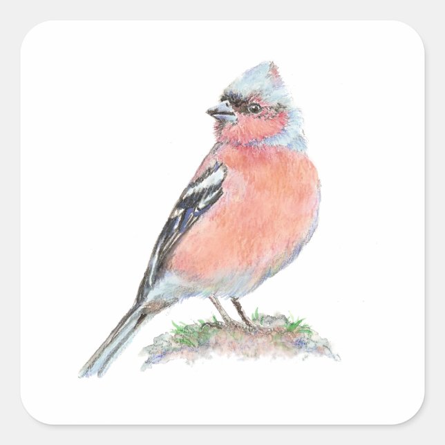 Cute Chaffinch, Watercolor Bird Collection Square Sticker (Front)