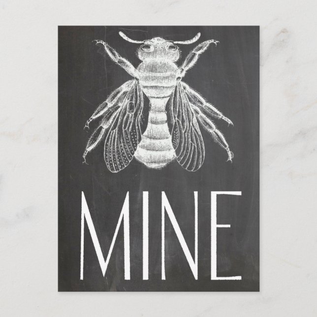 cute chalkboard drawing bee mine valentine romance holiday postcard (Front)