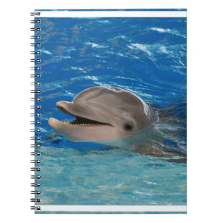 Cute Chattering Dolphin Spiral Notebook