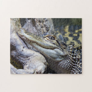 Cute Cheeky Baby Crocodile Smiling Jigsaw Puzzle