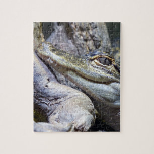 Cute Cheeky Baby Crocodile Smiling Jigsaw Puzzle