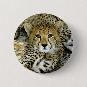 Cute Cheetah 6 Cm Round Badge